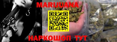 индика Лесосибирск