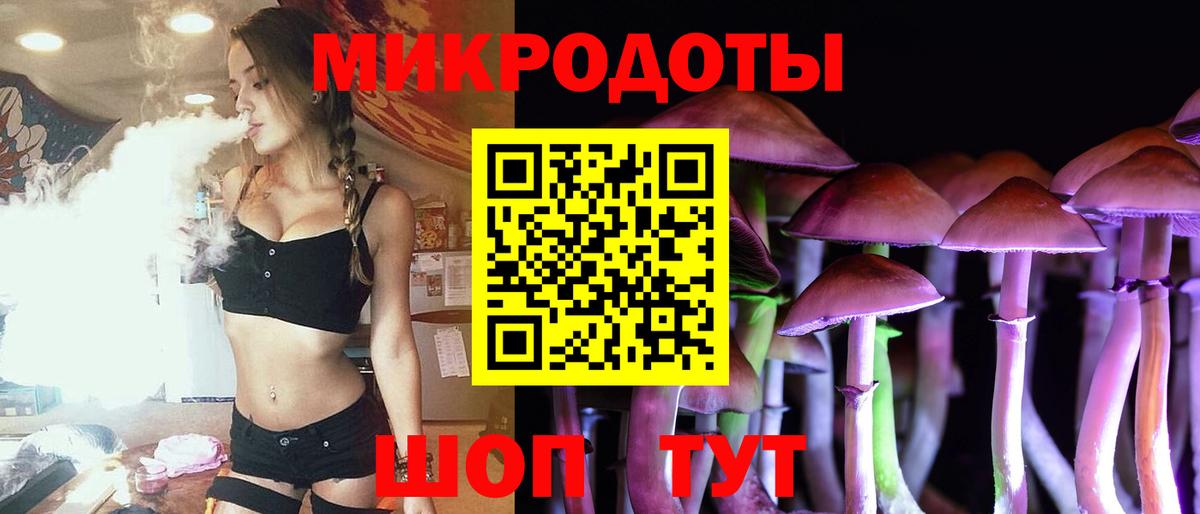 Псилоцибиновые грибы Cubensis Гусиноозёрск