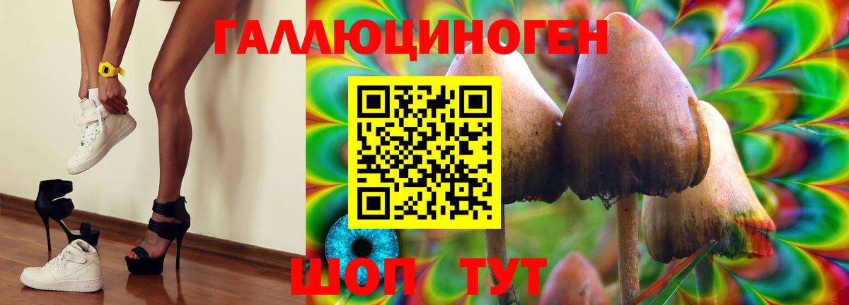 Псилоцибиновые грибы Psilocybine cubensis  Псилоцибиновые грибы Magic Shrooms  Вход с VPN  Гусиноозёрск 
